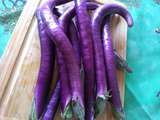 Aubergines cima violettes (Italie) au four, un vrai délice