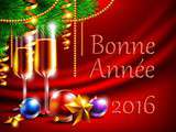 Bonne annee 2016