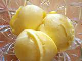 Sorbet a la mangue ( Thermomix)