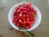 Clafoutis aux cerises