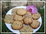 Cookies aux copeaux de chocolat au thermomix ou sans