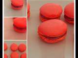 Macaron aux fruits rouges au thermomix ou sans