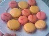 Macaron la suite