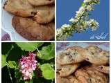 Les Cookies au Chocolat blanc et Cranberries