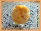 Glace mangue abricots