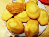 Madeleines