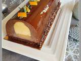 Bûche chocolat clémentine