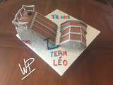 Cake Design : la reproduction du Skate Park préféré de mon fils