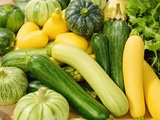 10 façons ingénieuses de cuisiner la courgette, la star incontournable de l’été