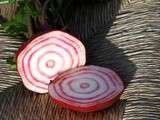 Betteraves Tonda di Chioggia en salade