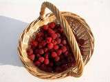 Framboises