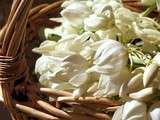 Yucca sauce tartare - Yucca blossoms with tartar sauce