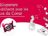 Restos du coeur : collecte 2011