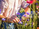 Semez des fleurs et participez à la préservation de la biodiversité locale avec Lu et Noé - {Concours}