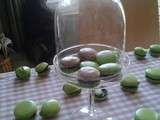 Macaron So menthe double chocolat, chic et choc