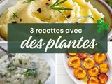 3 recettes faciles pour remplacer les épices classiques par des plantes d’herboristerie