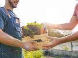 Épicerie bio : les essentiels à avoir dans sa cuisine