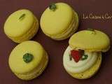 Macarons Citron Fraise Basilic