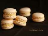 Macarons : crème de Citrouille