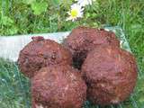 Boulettes de viande farcies au maroille