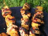 Brochettes de poulet aux saveurs asiatiques