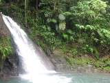 Cascade aux écrevisses