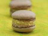 Macarons à la ganache chocolat blanc/ noix de coco