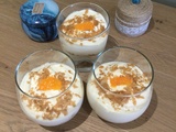 Mousse de clémentines