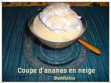 Coupe d'ananas en neige