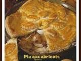 Pie aux abricots ( Apricot Pie )