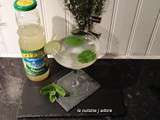 Mojito ( recette pour mon partenaire Caraïbos)