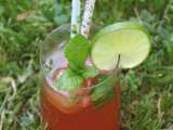 Cocktail Rouge cramberry vodka