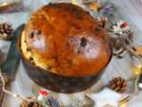 Panettone aux pépites de chocolat