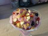 Nice cream fruits rouges et secs