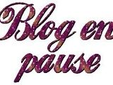 Blog en pause