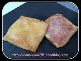 Bricks au jambon/fromage