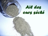 Ail des ours en poudre (condiment)