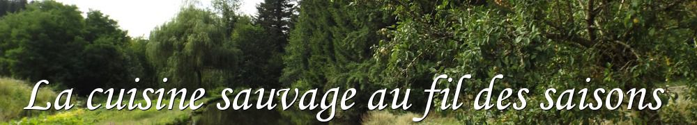 Recettes de La cuisine sauvage au fil des saisons