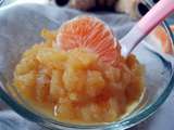 Compote pomme - mandarine