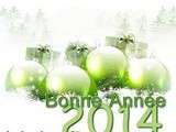 Bonne annee 2014  a tous les visiteurs et aux abonnes