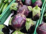 Aubergines grillées à la sauce teriyaki, salade de concombres