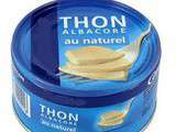 Rillettes de thon au Saint Moret