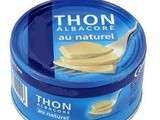 Rillettes de thon au Saint Moret