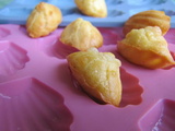 Madeleines chèvre / miel / noix