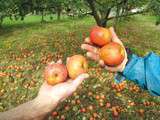 Domaine Bordatto, la ferme merveilleuse de Pascale et Bixintxo