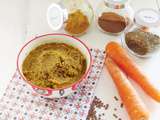 Houmous de carottes aux lentilles