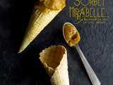 Sorbet mirabelle