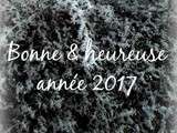 {bonne & heureuse annee 2017}