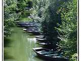 Carte postale du Marais Poitevin, 5 septembre 2017