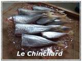 Chinchard